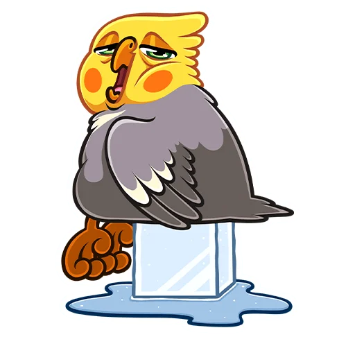 🤤 Стикер «Попугай Попка» для Telegram
