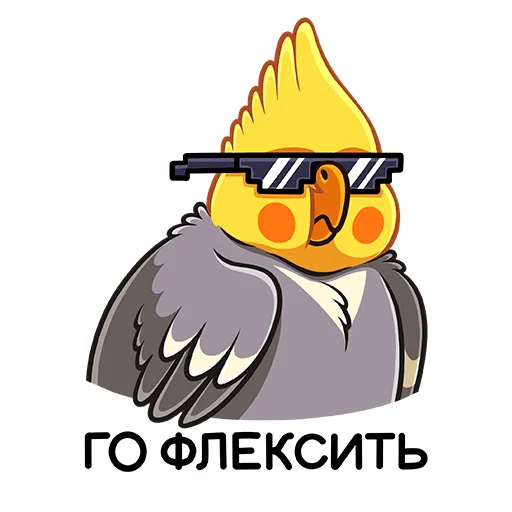 😎 Стикер «Попугай Попка» для Telegram