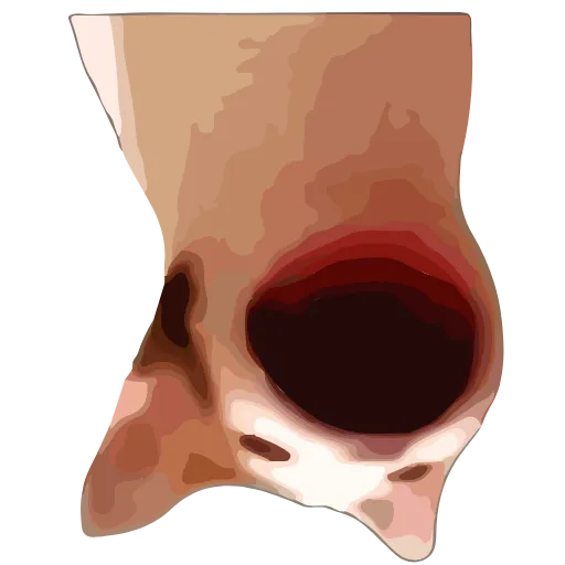 🙃 Стикер «popping_cat_animated» для Telegram