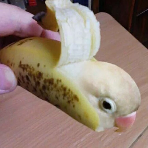 🍌 Стикер «попуги и другие животные» для Telegram