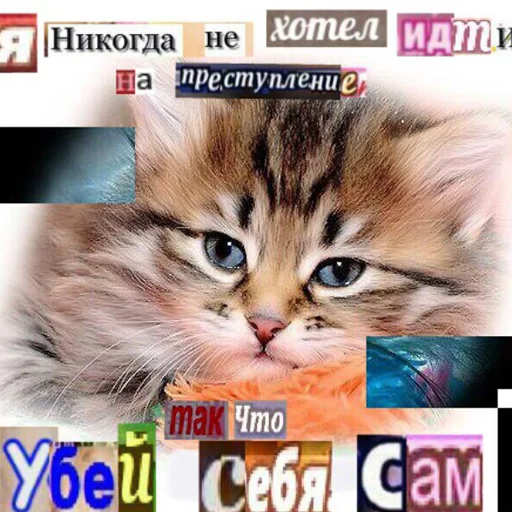 🗡 Стикер «попуги и другие животные» для Telegram