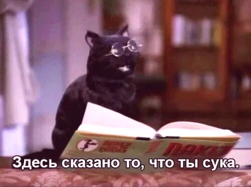 👀 Стикер «попуги и другие животные» для Telegram
