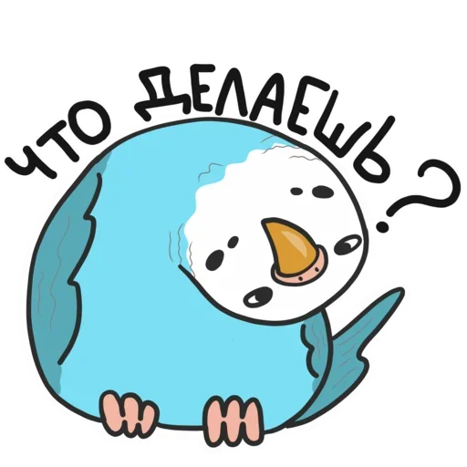 😋 Стикер «Попугай Кеша» для Telegram