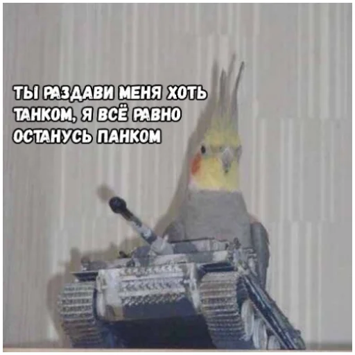 🤘 Стикер «Флекс папуги» для Telegram