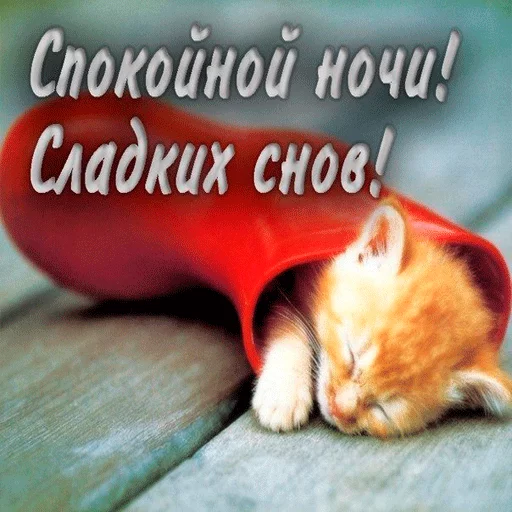 😉 Стикер «Пора спать! Спокойной ночи!» для Telegram
