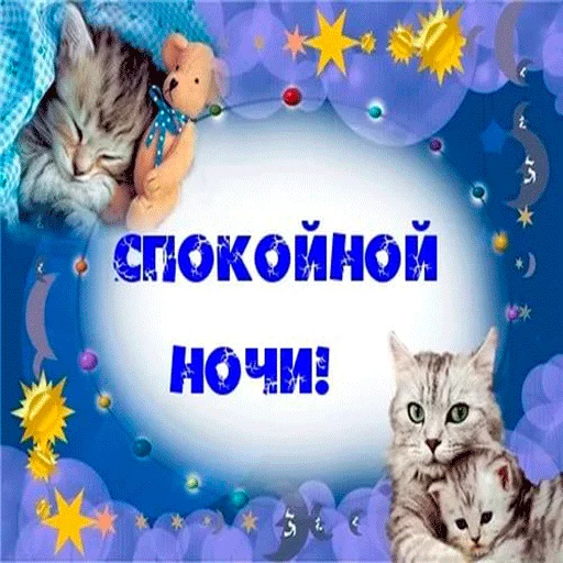 😗 Стикер «Пора спать! Спокойной ночи!» для Telegram