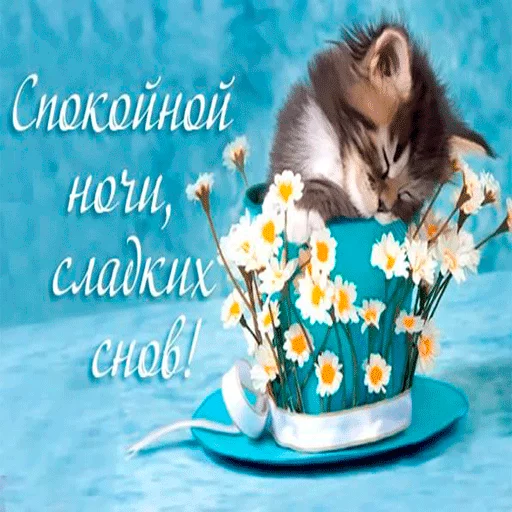 😛 Стикер «Пора спать! Спокойной ночи!» для Telegram