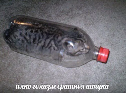 🍺 Стикер «po rzhat&;» для Telegram