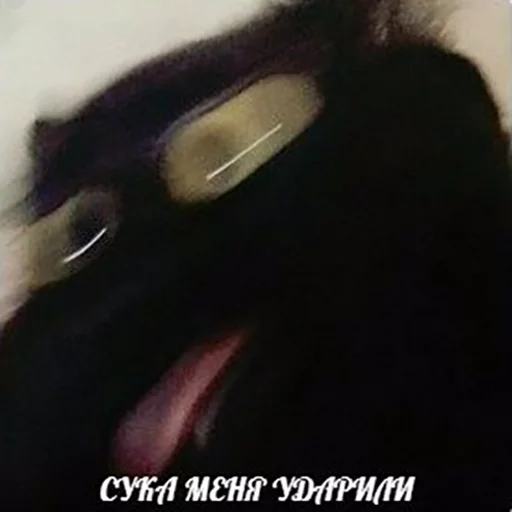 😜 Стикер «po rzhat&;» для Telegram