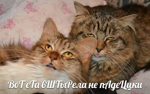 😵 Стикер «po rzhat&;» для Telegram