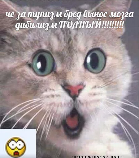 😳 Стикер «po rzhat&;» для Telegram