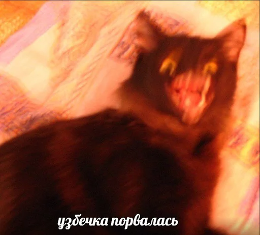 😭 Стикер «po rzhat&;» для Telegram