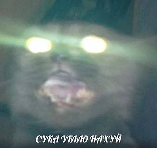 😳 Стикер «po rzhat&;» для Telegram