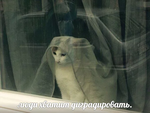 😠 Стикер «po rzhat&;» для Telegram