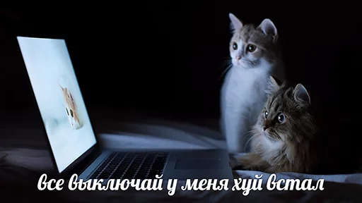 😬 Стикер «po rzhat&;» для Telegram
