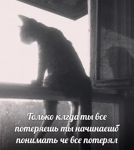 😢 Стикер «po rzhat&;» для Telegram