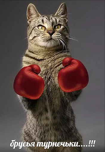 🥊 Стикер «po rzhat&;» для Telegram