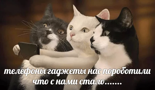🤔 Стикер «po rzhat&;» для Telegram