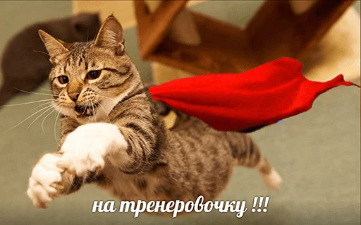 ⛹ Стикер «po rzhat&;» для Telegram