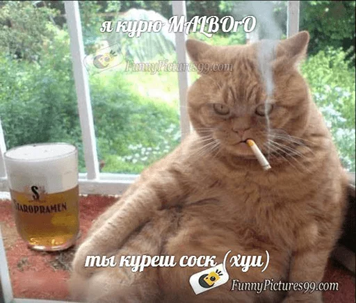 🚬 Стикер «po rzhat&;» для Telegram