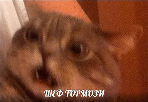 😱 Стикер «po rzhat&;» для Telegram