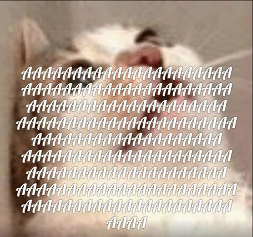 😲 Стикер «po rzhat&;» для Telegram