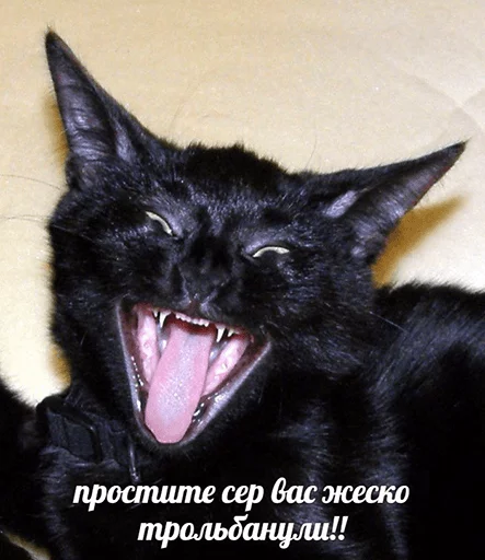 😂 Стикер «po rzhat&;» для Telegram