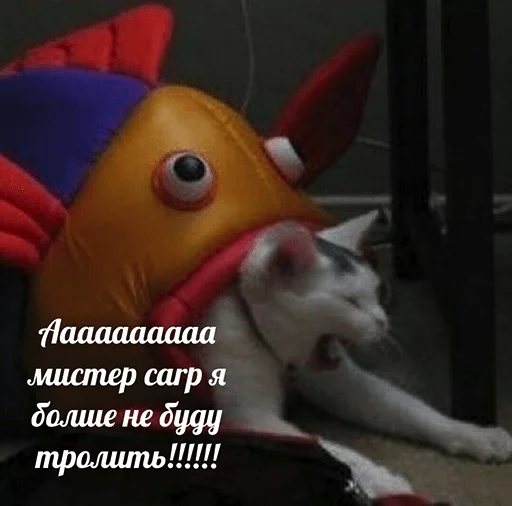 😵 Стикер «po rzhat&;» для Telegram