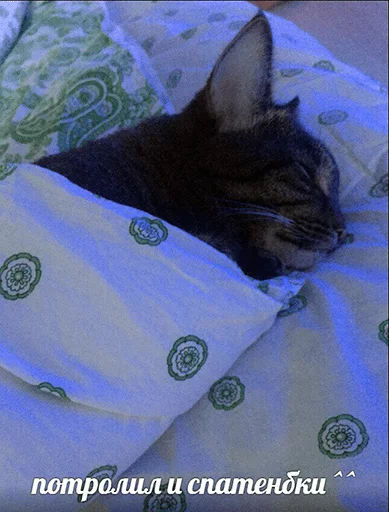 😴 Стикер «po rzhat&;» для Telegram