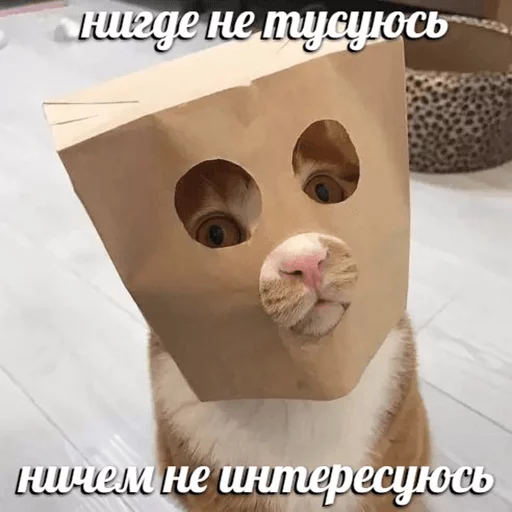 🍿 Стикер «po rzhat&;» для Telegram