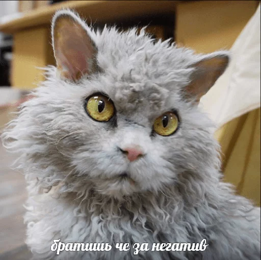 ☺️ Стикер «po rzhat&;» для Telegram