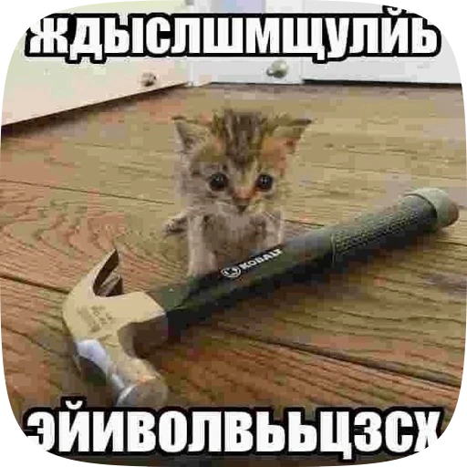 🔨 Стикер «Хуйнч» для Telegram