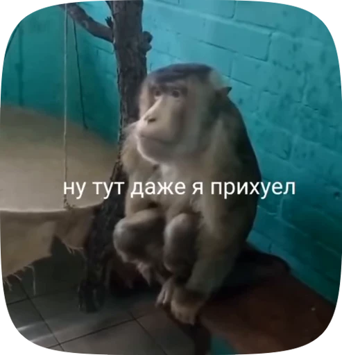 😯 Стикер «Хуйнч» для Telegram