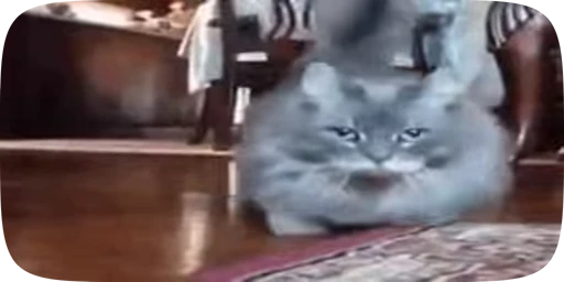 😸 Стикер «Хуйнч» для Telegram