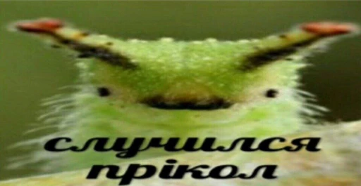 🐛 Стикер «Хуйнч» для Telegram