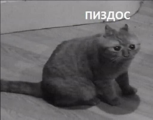 💀 Стикер «Хуйнч» для Telegram