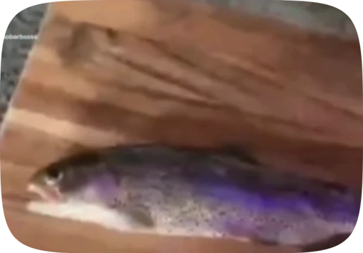🐟 Стикер «Хуйнч» для Telegram