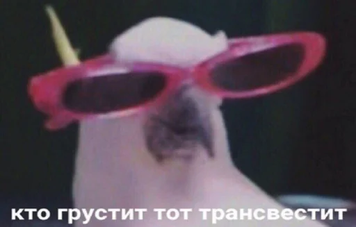 😛 Стикер «для ПиДрУжЕк» для Telegram