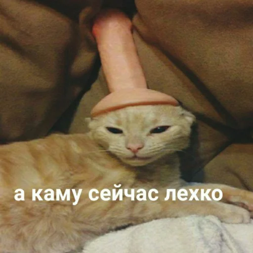 😐 Стикер «для ПиДрУжЕк» для Telegram