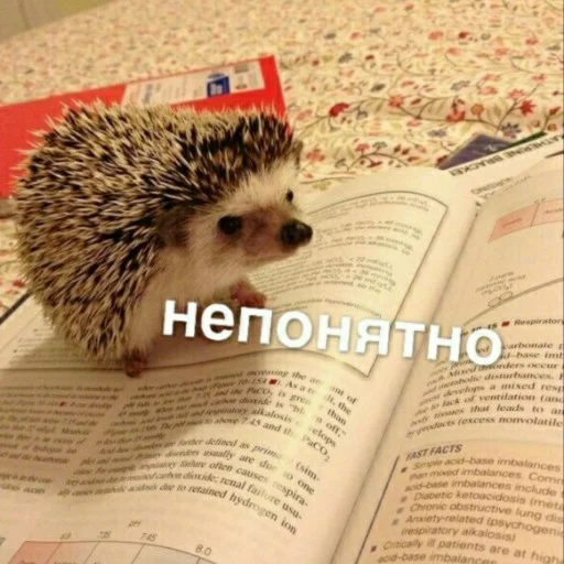 🥴 Стикер «для ПиДрУжЕк» для Telegram