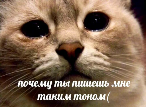 😢 Стикер «для ПиДрУжЕк» для Telegram