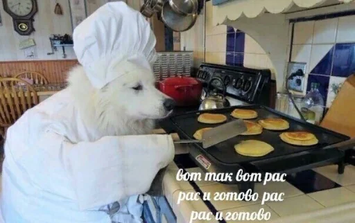 👩‍🍳 Стикер «для ПиДрУжЕк» для Telegram
