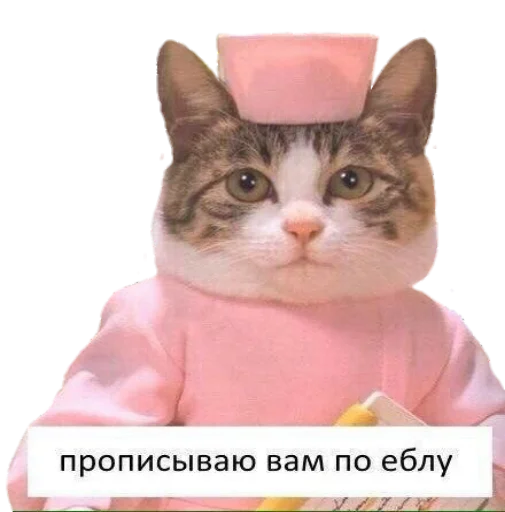 👿 Стикер «для ПиДрУжЕк» для Telegram