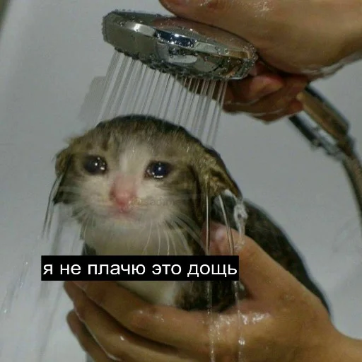 😭 Стикер «для ПиДрУжЕк» для Telegram