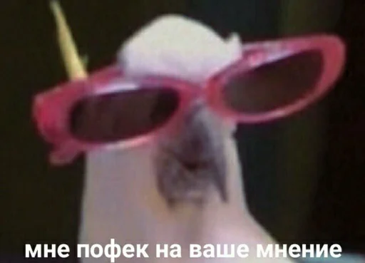 😎 Стикер «для ПиДрУжЕк» для Telegram