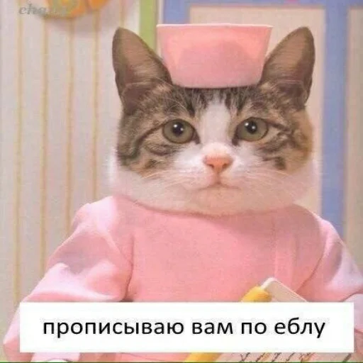 👊 Стикер «для ПиДрУжЕк» для Telegram