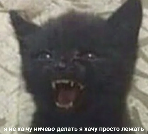 🙆‍♀ Стикер «для ПиДрУжЕк» для Telegram