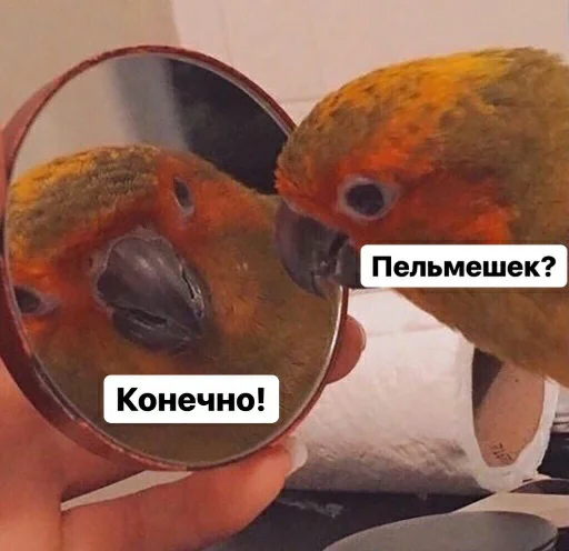 🥟 Стикер «для ПиДрУжЕк» для Telegram
