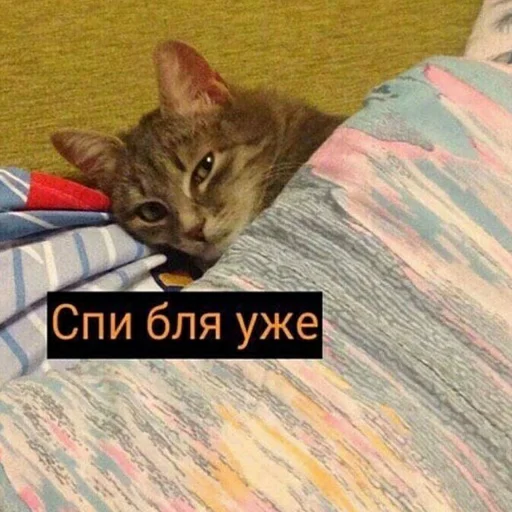 😴 Стикер «для ПиДрУжЕк» для Telegram