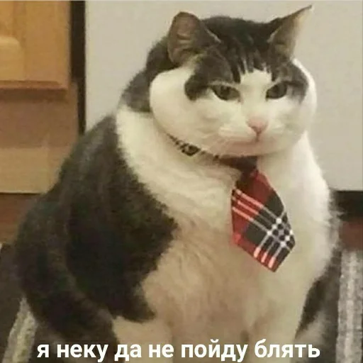 🧟‍♀ Стикер «для ПиДрУжЕк» для Telegram